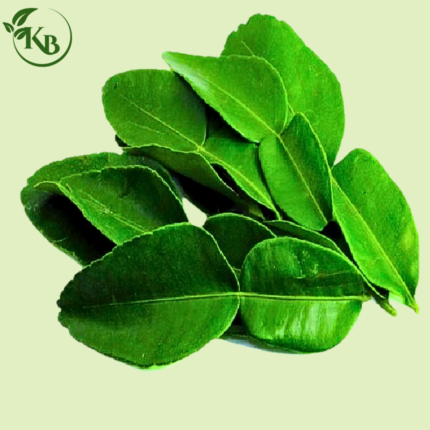Kaffir Lime Leaves (থাই লেবু পাতা )